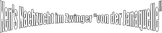Nachzucht im Zwinger "von der Janaquelle"