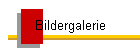 Bildergalerie